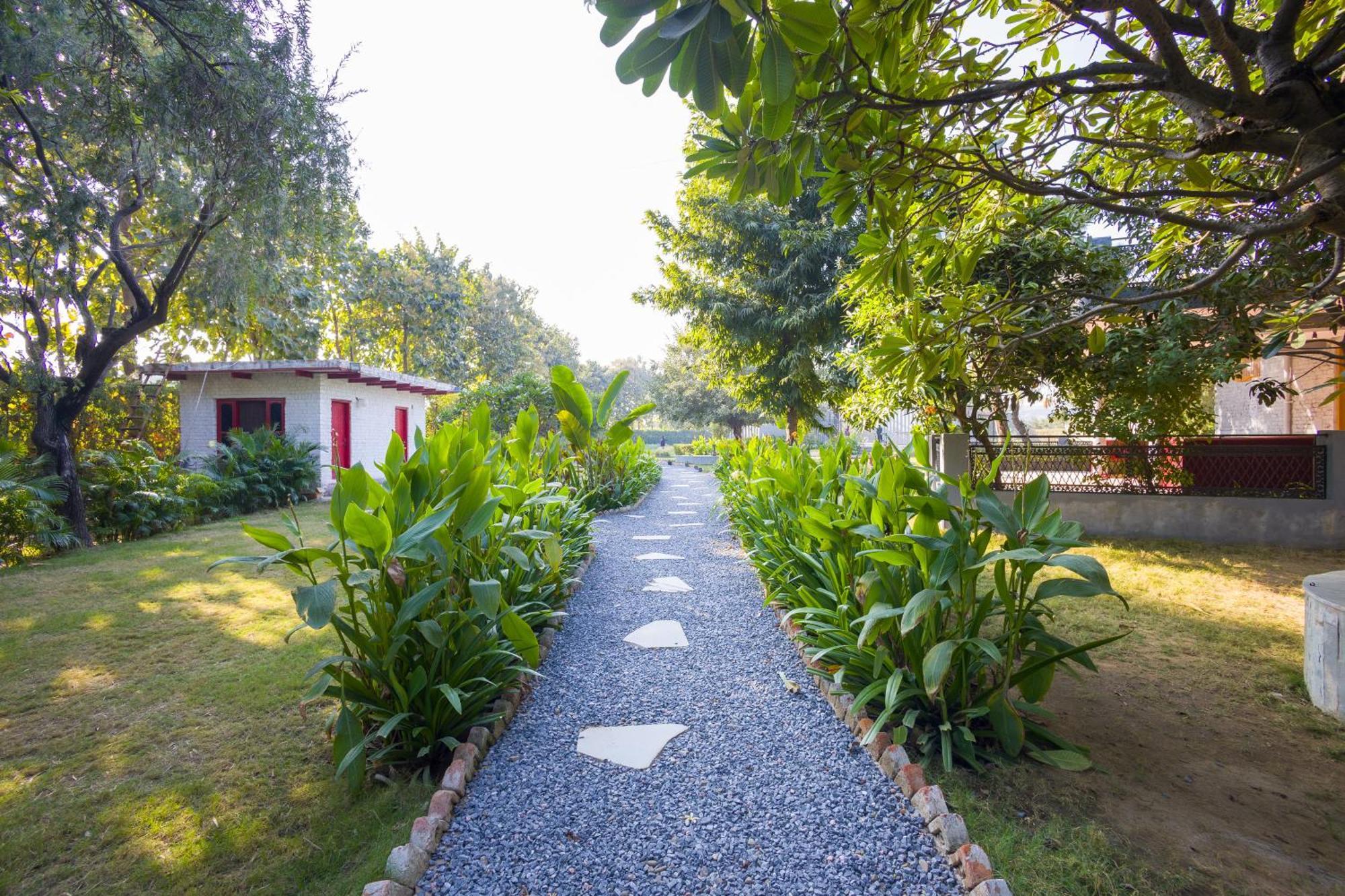 Elivaas Hidden Oasis 4Bhk With Pool, Mud House & Container House Villa Dhauj ภายนอก รูปภาพ